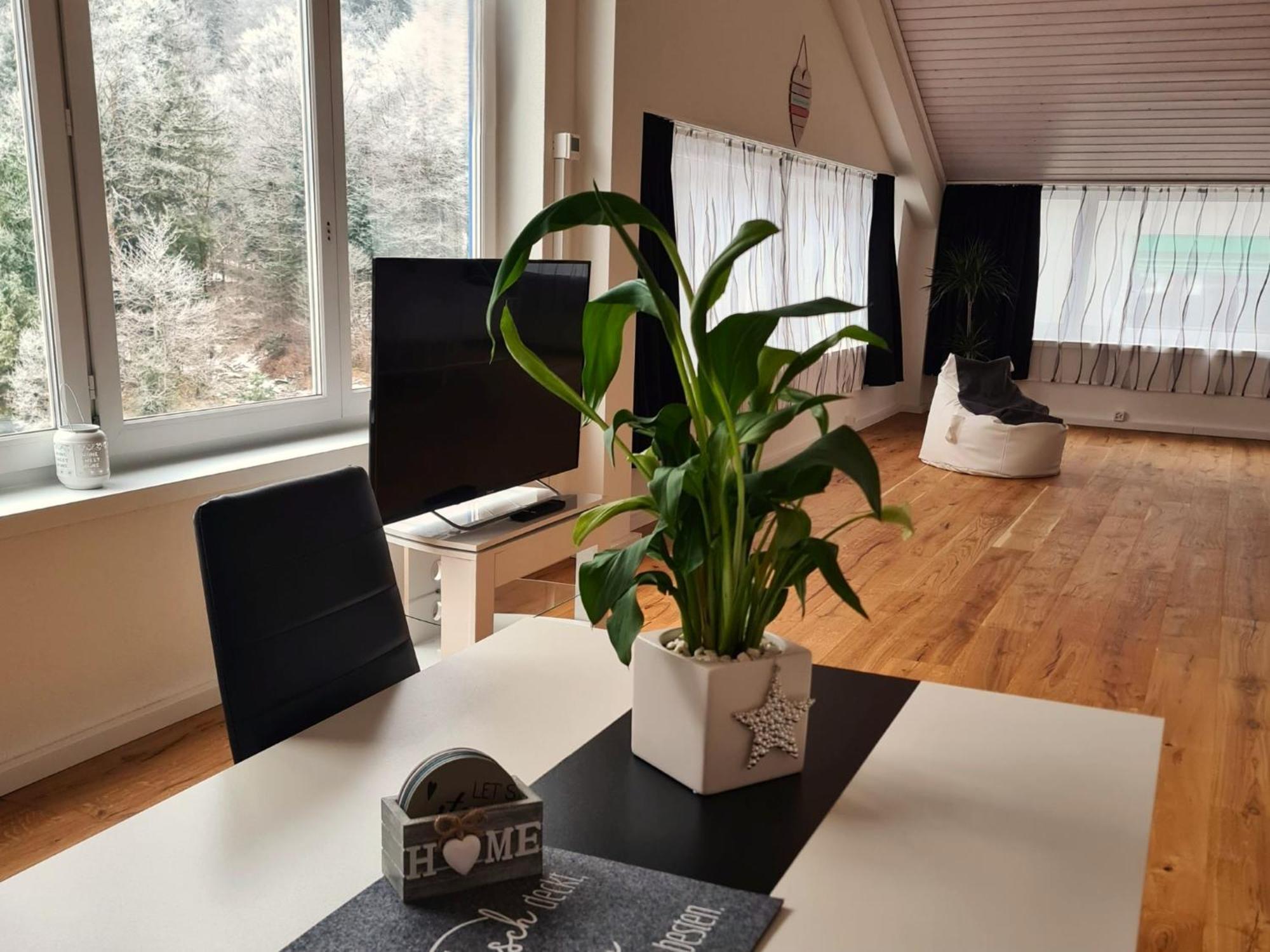 Muota River Loft & Muota Industry Apartment Near Stoos Muotathal Extérieur photo